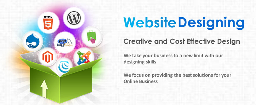 Website Design Company in the USA