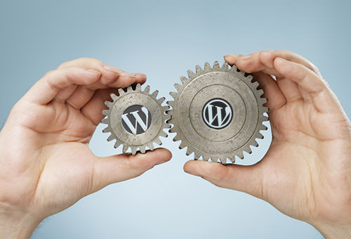  How Much Does a WordPress Website Really Costs?